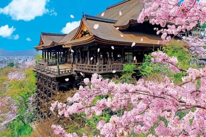 Kyoto Private Hightlights Customizable Tour&English Driver Guide — photo 1