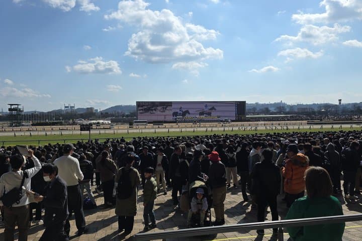 Horse Racing Tour with Local Fans in Nakayama Racecourse — photo 13
