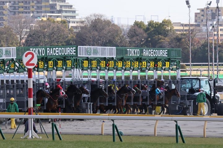 Horse Racing Tour with Local Fans in Nakayama Racecourse — photo 14