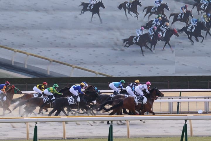 Horse Racing Tour with Local Fans in Nakayama Racecourse — photo 15