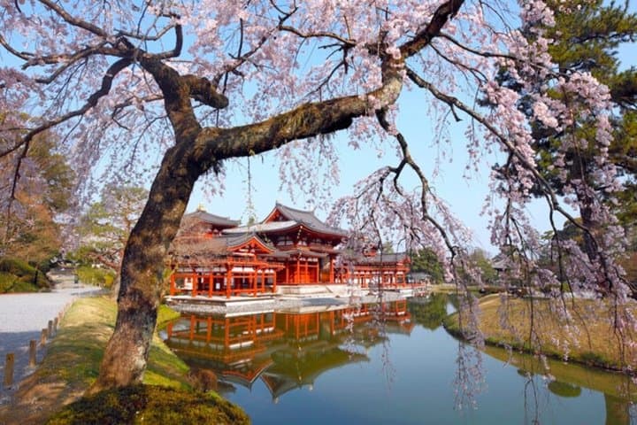 Nara and Uji Private Custom Tour from Kyoto — photo 7