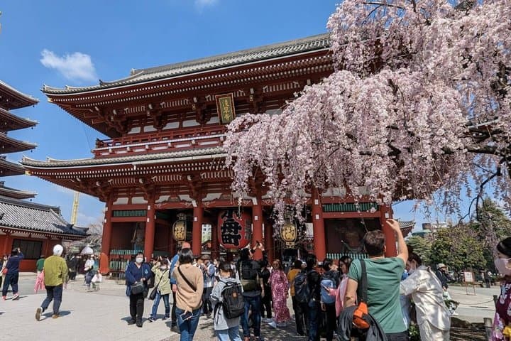 Tokyo VIP Private Walking Tour — photo 6