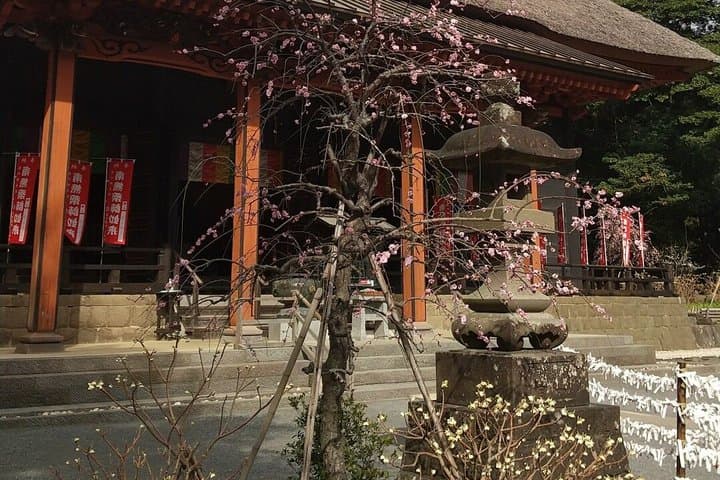 Sacred Mountain Oyama Walking Tour Culture and Nature — photo 15