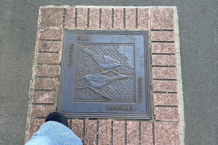 Tokyo Cultural Walk Hidden Rules of Japanese Daily Life — photo 10