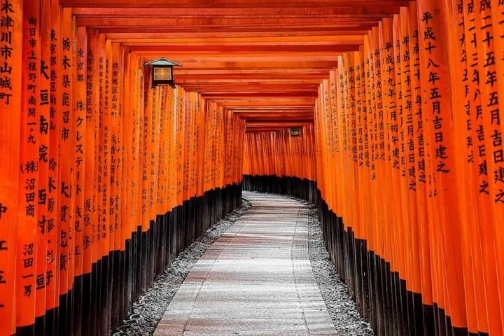 Private Guided 10 Hour Tour to Kyoto — photo 3