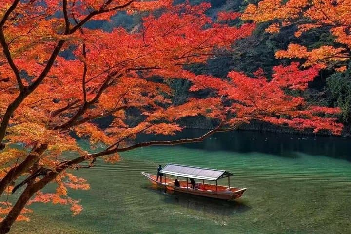 Private Guided 10 Hour Tour to Kyoto — photo 9