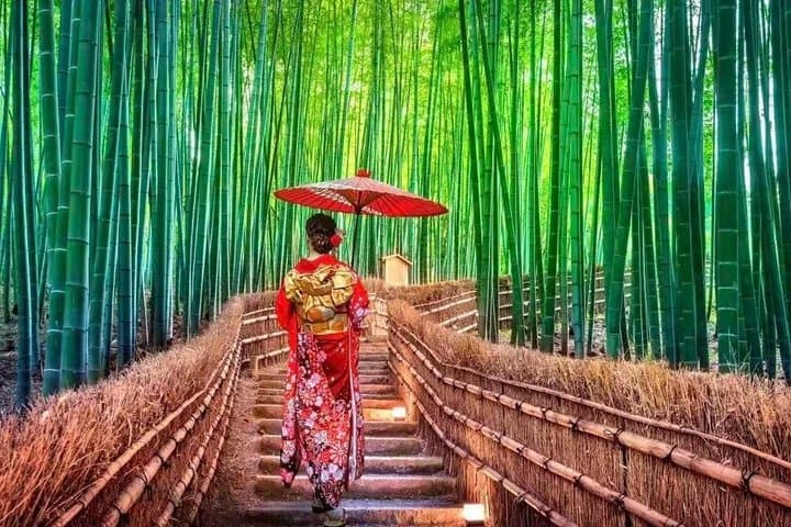 Private Guided 10 Hour Tour to Kyoto — photo 10