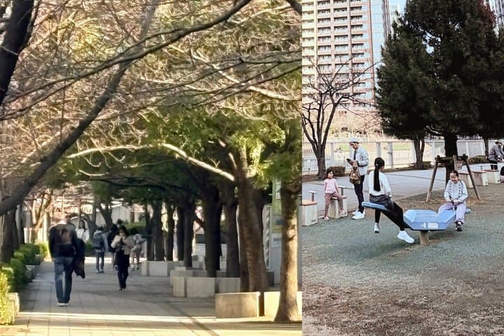 Tokyo Cultural Walk Hidden Rules of Japanese Daily Life — photo 4