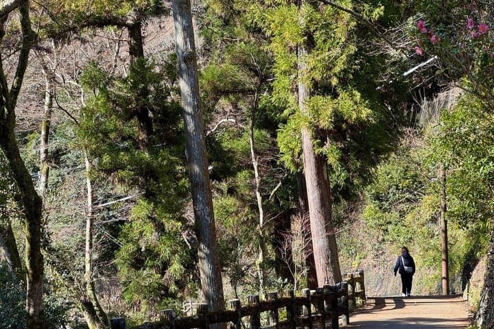 Sacred Minoh Katsuoji and Waterfall Cultural Walk — photo 3