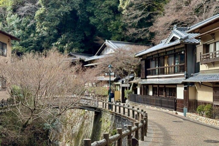Sacred Minoh Katsuoji and Waterfall Cultural Walk — photo 16