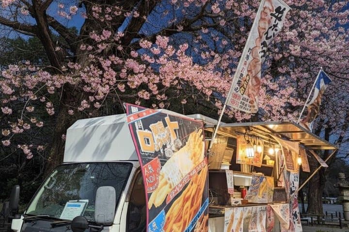 Tokyo Cherry Blossom Night Tour – Private Yozakura Experience — photo 14