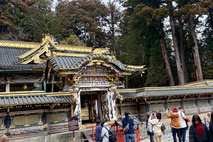 Nikko in One Day: Private Car Tour from Tokyo with Expert Guide