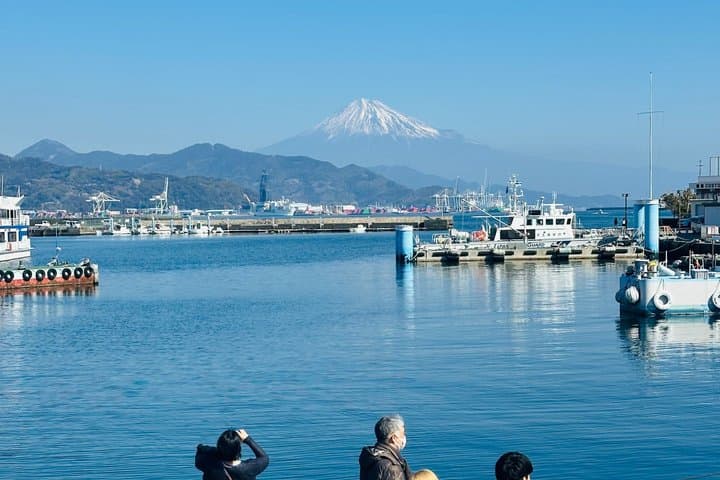 Shimizu Port Pickup: Mt. Fuji Food Tour (Tuna Bowl & Sake) — photo 3