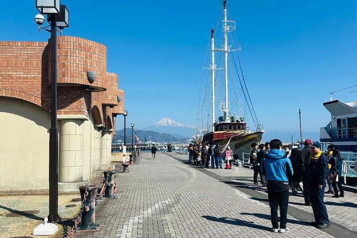 Shimizu Port Pickup: Mt. Fuji Food Tour (Tuna Bowl & Sake) — photo 15