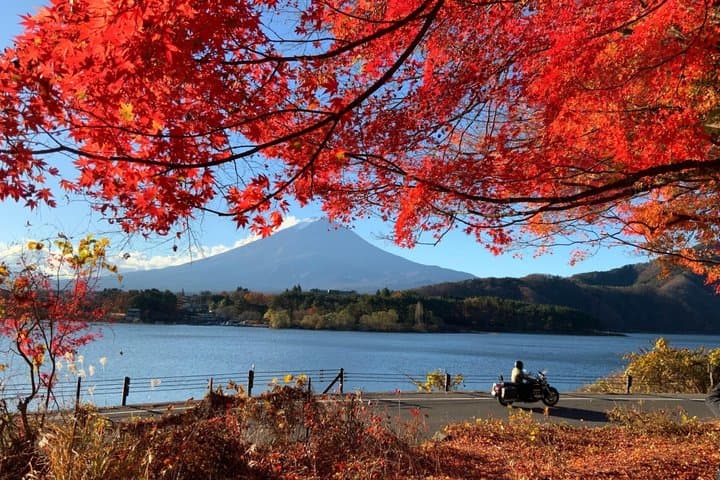 Mt. Fuji Private Day Tour from Tokyo | Customizable Itinerary — photo 8