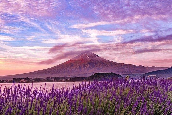 Mt. Fuji Private Day Tour from Tokyo | Customizable Itinerary — photo 9