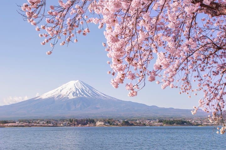 Mt. Fuji Private Day Tour from Tokyo | Customizable Itinerary — photo 11