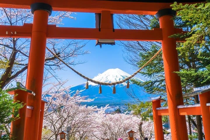From Tokyo: Mt. Fuji 6 Attractions: Lake Kawaguchi, Oshino Hakkai — photo 3