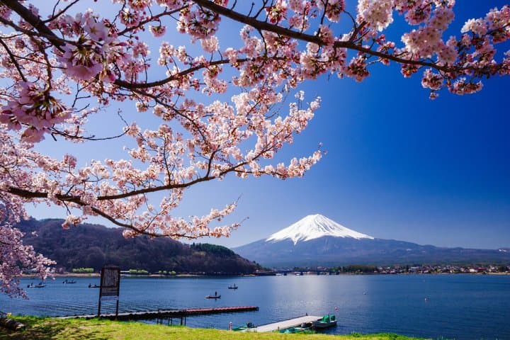From Tokyo: Mt. Fuji 6 Attractions: Lake Kawaguchi, Oshino Hakkai — photo 4