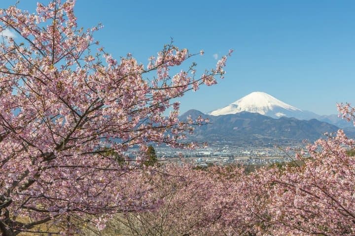 From Tokyo: Mt. Fuji 6 Attractions: Lake Kawaguchi, Oshino Hakkai — photo 7