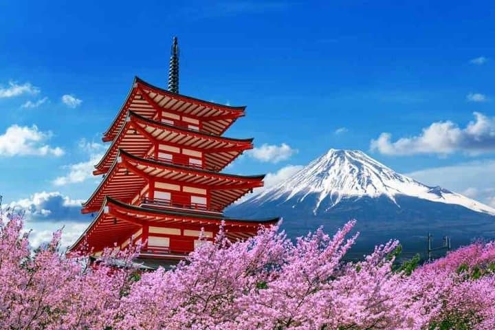 From Tokyo: Mt. Fuji 6 Attractions: Lake Kawaguchi, Oshino Hakkai — photo 6