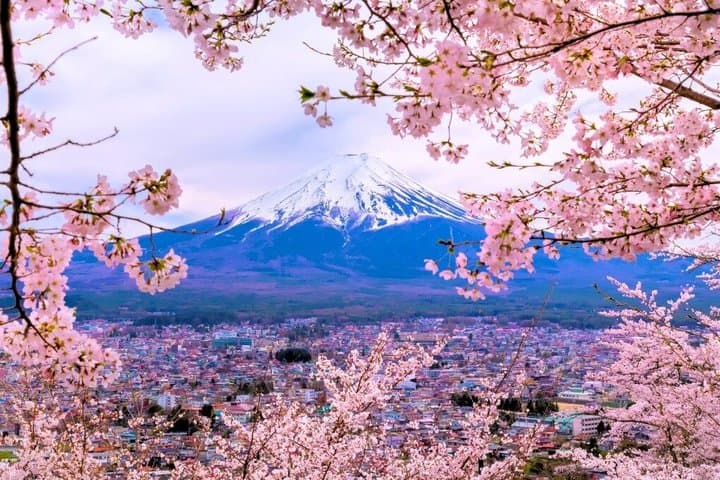 From Tokyo: Mt. Fuji 6 Attractions: Lake Kawaguchi, Oshino Hakkai — photo 5