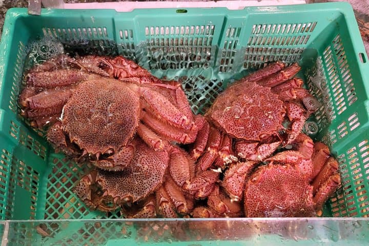 Tokyo Tsukiji Fish Market: Traditional Culture & Street Food Tour — photo 5