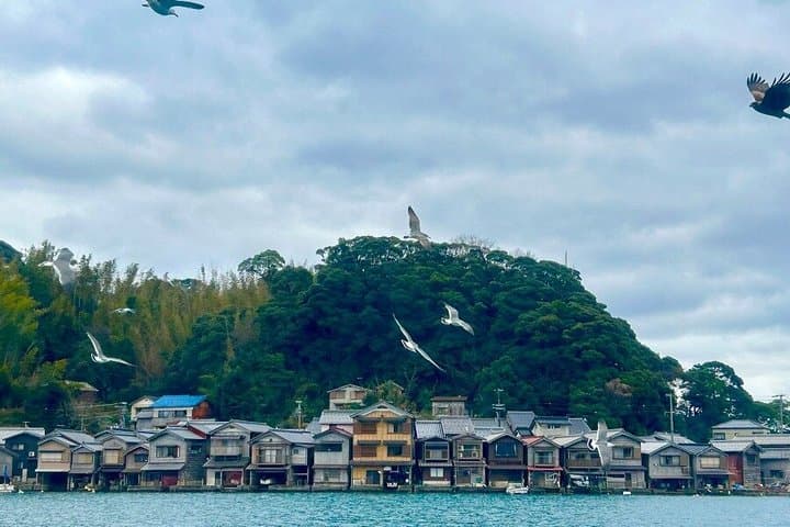 Amanohashidate and Ine no Funaya 1 Day Tour from Kyoto — photo 5