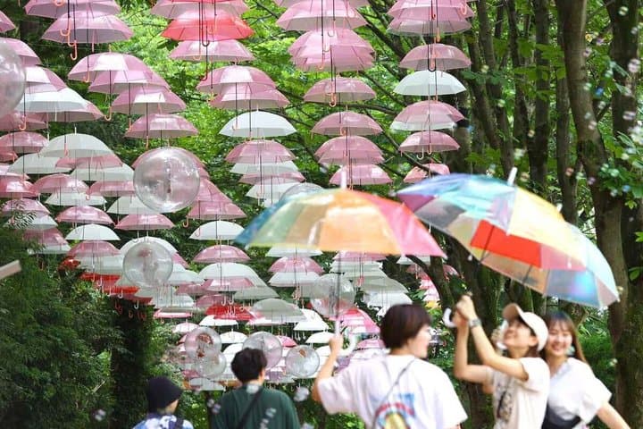 Moominvalley Park One-Day Pass | E-Ticket | Saitama — photo 12