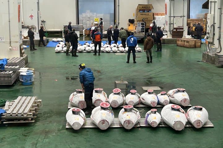 Morning Market Adventure: Toyosu & Tsukiji with Tuna Auction — photo 20