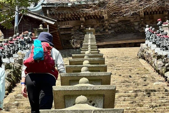 Sacred Mountain Oyama Walking Tour Culture and Nature — photo 8