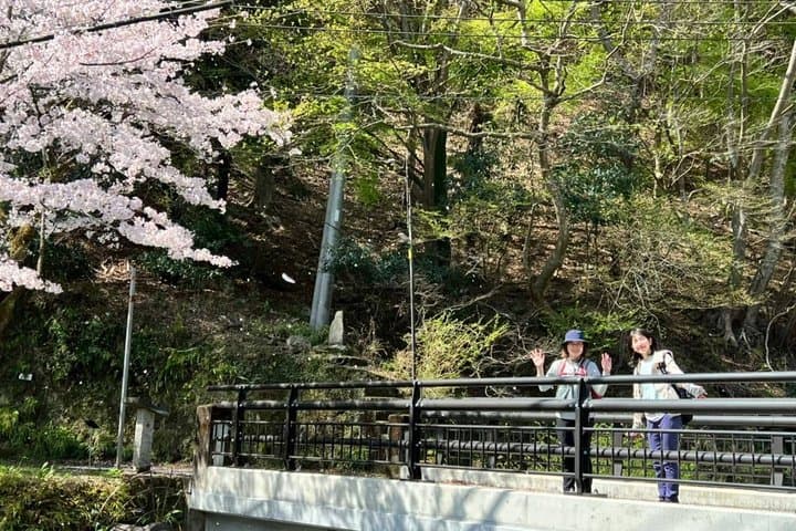 Sacred Mountain Oyama Walking Tour Culture and Nature — photo 7