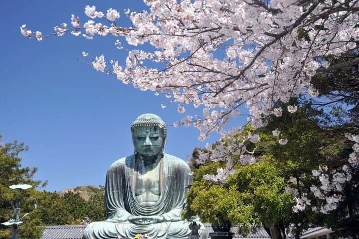 Kamakura Day Tour — photo 2