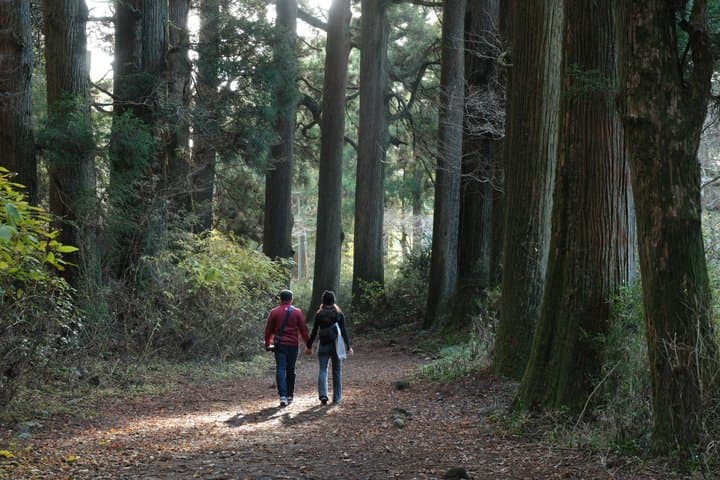 Hike Japan Heritage Hakone Hachiri (Half Day) — photo 12