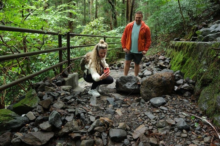Hike Japan Heritage Hakone Hachiri (Half Day) — photo 6