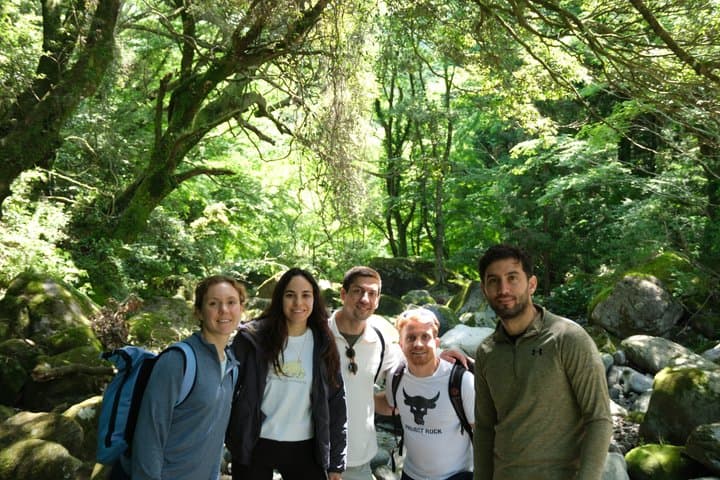 Hike Japan Heritage Hakone Hachiri (Half Day) — photo 13
