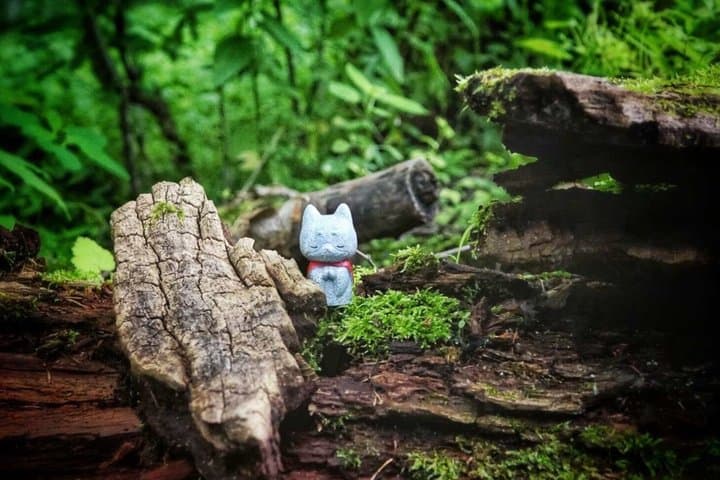 Japanese Alps Kamikochi A Day in Fairyland — photo 3
