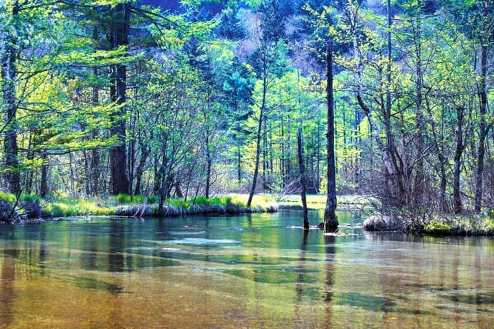 Japanese Alps Kamikochi A Day in Fairyland — photo 14