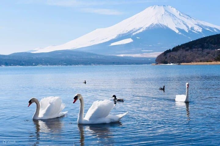 Owakudani and Lake Ashi Cruise Tour in Hakone with Mt Fuji view — photo 6