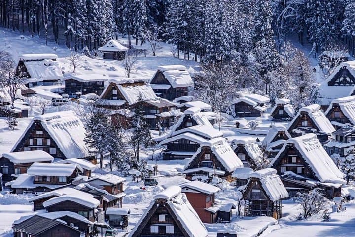 Hida Takayama Shirakawa go and Old Town Day Tour From Nagoya — photo 3