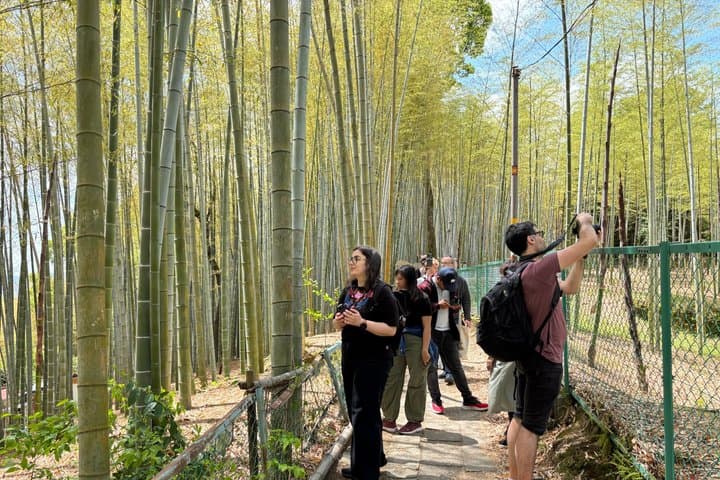 Kyoto Guided Walking Tour Highlight of Kiyomizu & Fushimi Inari — photo 6