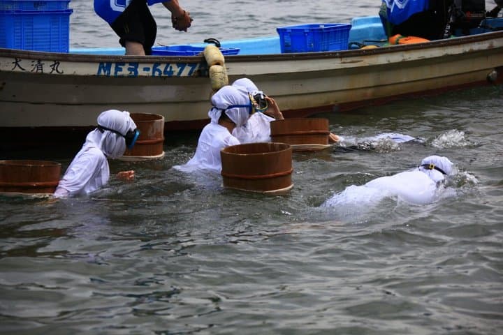 Toba Iseshima 6 Hour Private Tour with Government Licensed Guide — photo 16