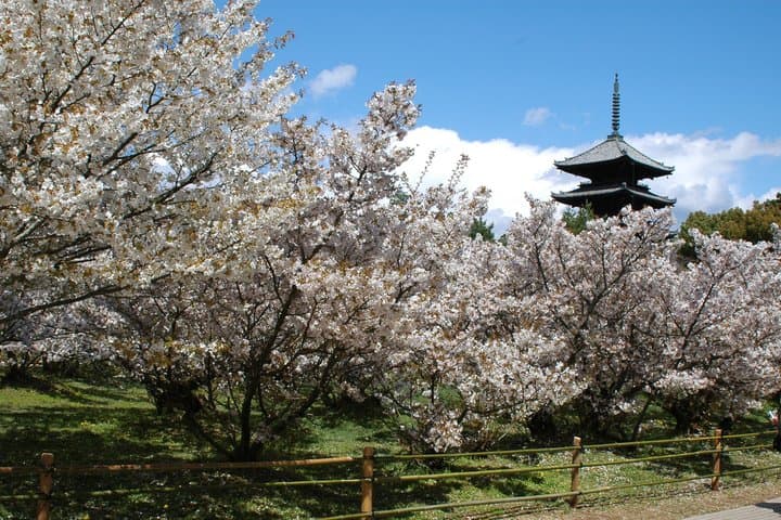 Kyoto: Kinkaku-ji Temple & Serene Garden Guided Tour with Tickets — photo 2
