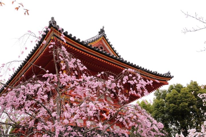 Kyoto: Kinkaku-ji Temple & Serene Garden Guided Tour with Tickets — photo 5