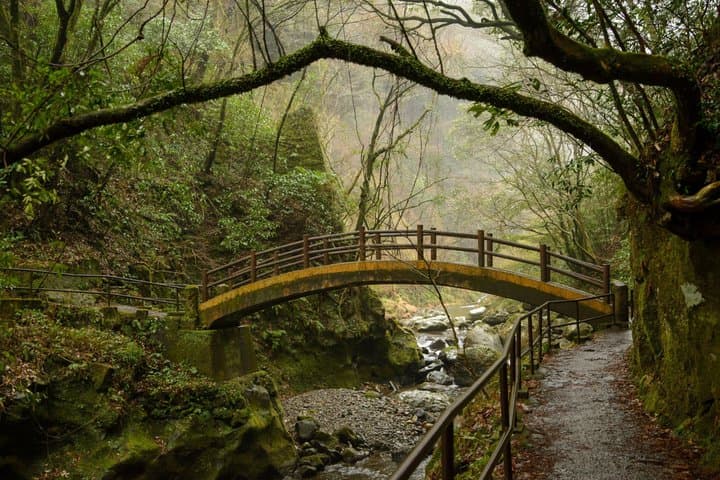 Kumamoto(Mt. Aso Crater etc.) and Miyazaki Day Tour from Fukuoka — photo 9