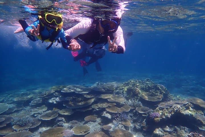 Okinawa Iriomote Island 1 Day Trip OK from Ishigaki Island!Complimentary photo data and equipment rental for Balas Island Snorkeling & Yufu Island Sightseeing — photo 14