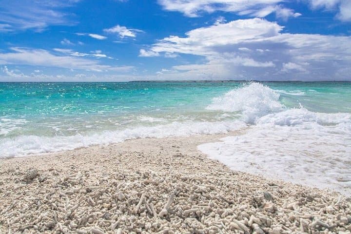 Okinawa Iriomote Island 1 Day Trip OK from Ishigaki Island!Complimentary photo data and equipment rental for Balas Island Snorkeling & Yufu Island Sightseeing — photo 18