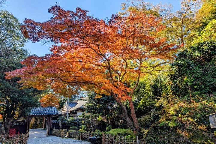 Explore the Sacred Past of Mount Yoshino from Osaka — photo 7