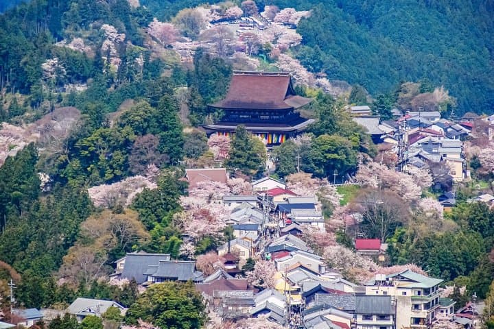 Explore the Sacred Past of Mount Yoshino from Osaka — photo 10