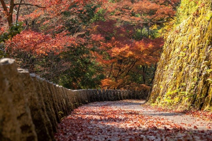 Explore the Sacred Past of Mount Yoshino from Osaka — photo 5